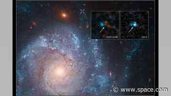 White dwarf seen to survive its own supernova explosion