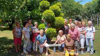 Montech. L’ALBV à la découverte du jardin de Laroque - LaDepeche.fr