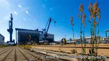 Bund erhält Zuschlag für Warnemünder Werft
