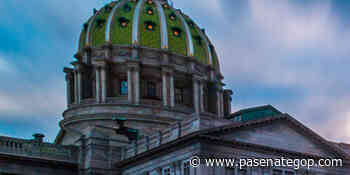 Bartolotta Bill Protecting Medical Patients Passes Senate Committee - pasenategop.com