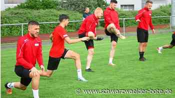 Fußball Regionalliga - TSG Balingen steigt in die Saisonvorbereitung ein - Schwarzwälder Bote