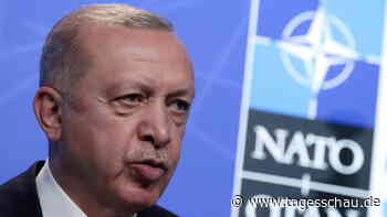 Türkei will NATO-Beitritt von Schweden und Finnland unterstützen