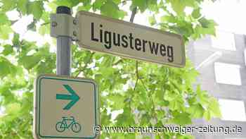 Wer wohnt eigentlich im Ligusterweg 4 in Braunschweig? - Braunschweiger Zeitung