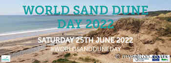 Green Sefton celebrate World Sand Dune Day with guided dune walks - My Sefton