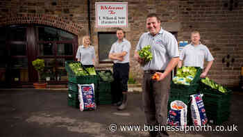 Final harvest for St Helens farming business as it appoints administrator - Business Up North