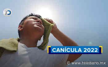 ¿Cuándo empieza la canícula 2022 en Monterrey? - Telediario CDMX