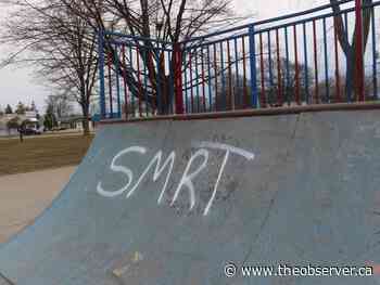 Sarnia's Tecumseh Park damaged in recent days by graffiti - The Sarnia Observer