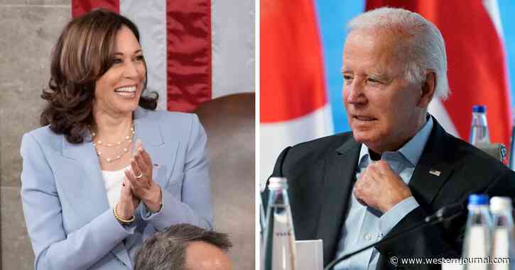 Former Clinton Pollster Throws Cold Water on Kamala Harris' 2024 Election Claim