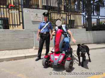 Modugno, disabile si ribalta con lo scooter elettrico in aperta campagna: salvato dai Carabinieri - Il Quotidiano Italiano - Bari