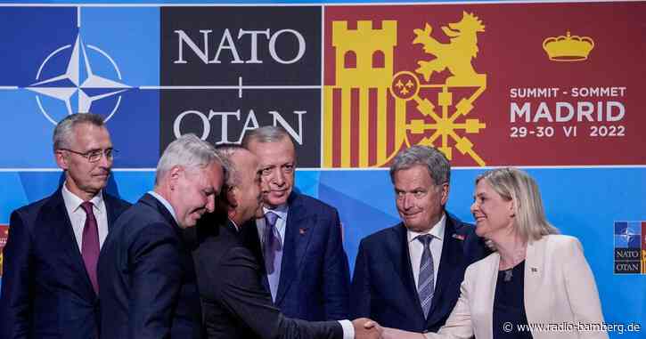 Nato-Streit mit Türkei um Finnland und Schweden gelöst