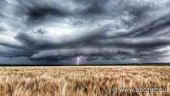'Warm water sandwich' set to drive wet weekend in Queensland