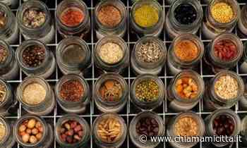 Rimini, all'Ala Nuova del Museo inaugura la Biblioteca dei semi di Gaia - ChiamamiCittà