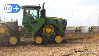 Feuerwehren bekämpfen bei Gluthitze Feldbrand in Salbitz bei Oschatz - Leipziger Volkszeitung