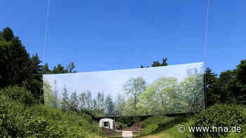 documenta 2022: Bilder aus der Karlsaue, vom Rondell, dem Bootshaus Ahoi und der Fulda - hna.de