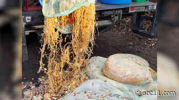 Moonshot Compost is turning your food waste into nutrient-rich compost