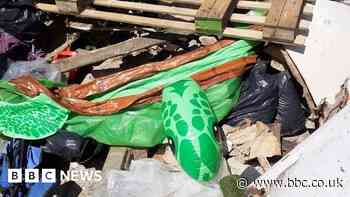 Oxfordshire council looking for turtle pool owner after fly-tip