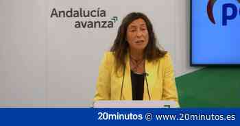 López (PP-A) iguala el "sentir del PP" con el "sentir de los andaluces" - 20minutos.es