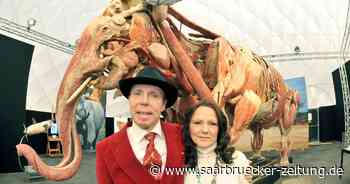 3,50 Meter hoch, 3,2 Tonnen schwer: „Körperwelten der Tiere“ kommt ins Saarland – mit Elefantendame Samba aus Neunkircher Zoo (mit Bildergalerie) - Saarbrücker Zeitung