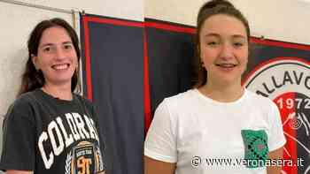 Per la Serie B2 l'Isuzu Cerea riparte da due certezze: Guzzo e Caruzzi - VeronaSera