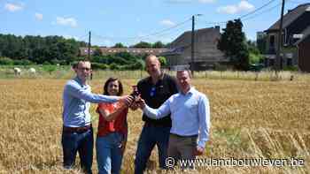 Alken Maes en Arvesta werken samen met lokale landbouwers voor Belgische brouwgerst - Landbouwleven
