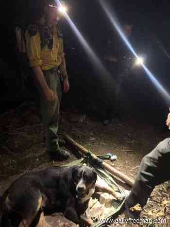 Injured 135-pound dog rescued from Greene County trail - The Daily Freeman
