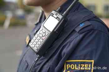 Ereignisreiche Nacht in Lindau: Kontrollen der Bundespolizei: Haftbefehle und Gewalt gegen Beamte - Lindau - all-in.de - Das Allgäu Online!