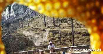 Olmiel, la miel de Los Olmos que huele y sabe a las plantas aromáticas de Teruel - Heraldo.es