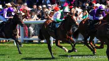 Coventry third Royal Scotsman set for Goodwood - Racing TV