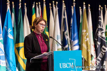 Ange Qualizza to seek second term as Fernie Mayor | Elk Valley, Fernie - E-Know.ca