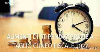 Ecco quanto aumenterà lo stipendio col cuneo fiscale 2022 - The Wam