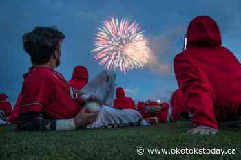 Puppets, dog tricks, art and fireworks headline Okotoks' Canada Day - Okotoks TODAY
