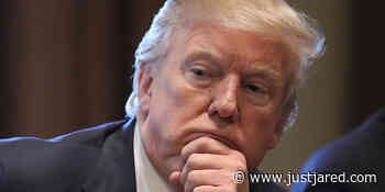 Trump Knew Protesters Were Armed on January 6, According to Aide