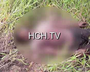 ¡Reportan el hallazgo de una persona asesinada en Yorito, Yoro! - hch.tv