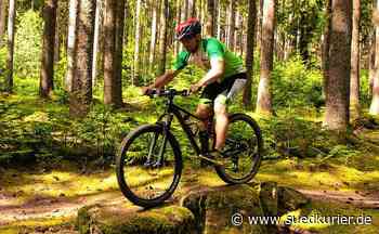 Immendingen: Im Immendinger Wald soll ein Mountainbike-Trail entstehen. Wann wird es soweit sein? - SÜDKURIER Online