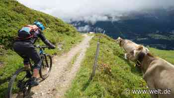 Im Bikepark in den Alpen: Auf dem Mountainbike durch die Berge - WELT