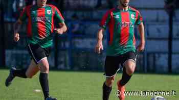 Il Prato 2000 può contare su Baroncelli Due colpi per la Zenith: Rosi e Safina - LA NAZIONE