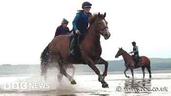 Queen's Guide leads galloping horses over Morecambe Bay sands