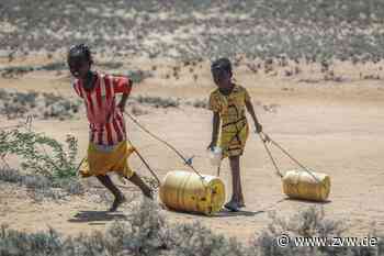 Unicef: Mehr Kinderehen wegen Hungerkrise am Horn Afrikas - Zeitungsverlag Waiblingen
