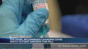 FDA advisers recommend updating COVID booster shots for fall