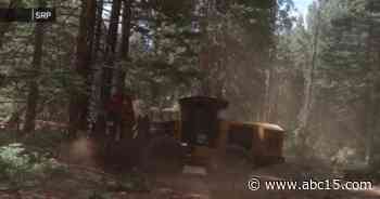 Forest thinning operations underway to prevent catastrophic wildfires - ABC15 Arizona in Phoenix