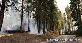 Sierra National Forest Fire Update as of June 26, 2022 - Sierra News Online