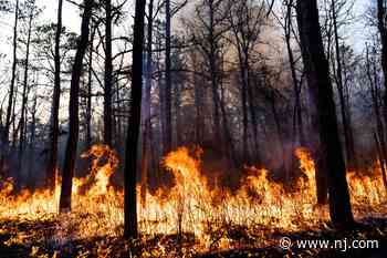 N.J. forest fire grows to 300 acres, 50% contained, officials say - NJ.com