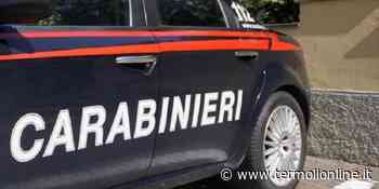 Scontro tra due vetture sulla statale 87, danni ingenti solo ai veicoli - Termoli Online