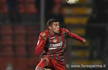 Di Marzio: "Zanimacchia alla Cremonese: beffato il Parma" - Forza Parma