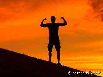 Ten Small Lifestyle Changes to Improve Your Health 