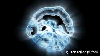 Incredible Virus Discovery Offers Clues About the Origins of Complex Life