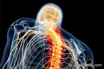Unprecedented Recovery: Drug Helps Treat Spinal Cord Injuries