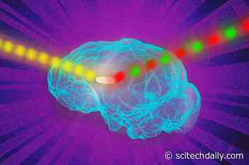 MIT Engineers Boost Signals From Fluorescent Sensors – Offering Unique Glimpse Inside Living Cells
