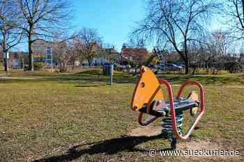 Gottmadingen: Wie soll der Spielplatz Riedwies aussehen? Das können Bürger am Samstag mitentscheiden - SÜDKURIER Online