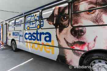 Itapevi abre inscrições para 5ª campanha de castração - WebDiario